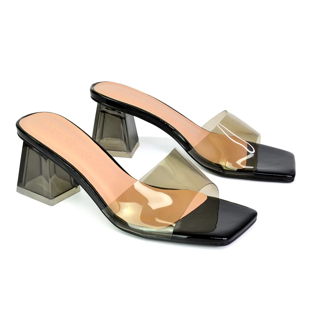 Strawberry Perspex Strappy Square Toe Clear Block Heel Mules in Silver