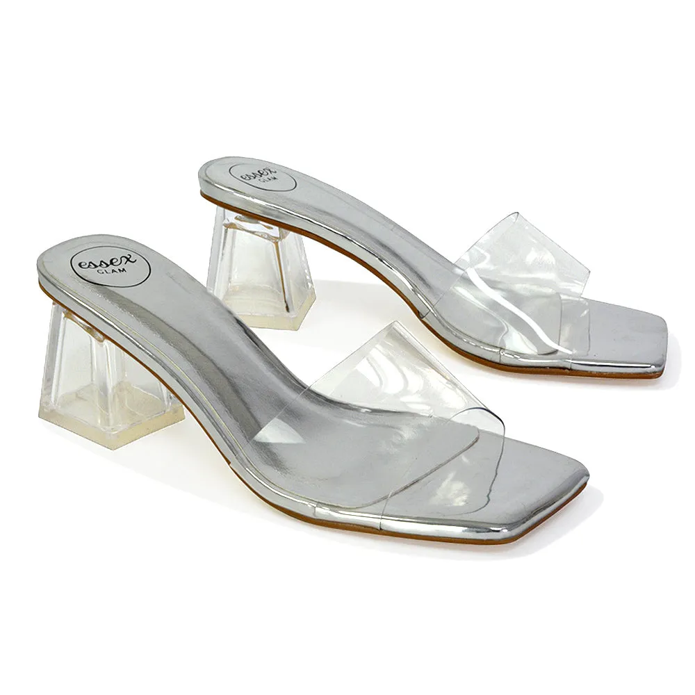 Strawberry Perspex Strappy Square Toe Clear Block Heel Mules in Silver