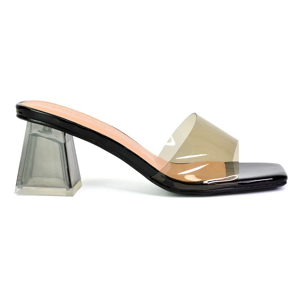 Strawberry Perspex Strappy Square Toe Clear Block Heel Mules in Silver