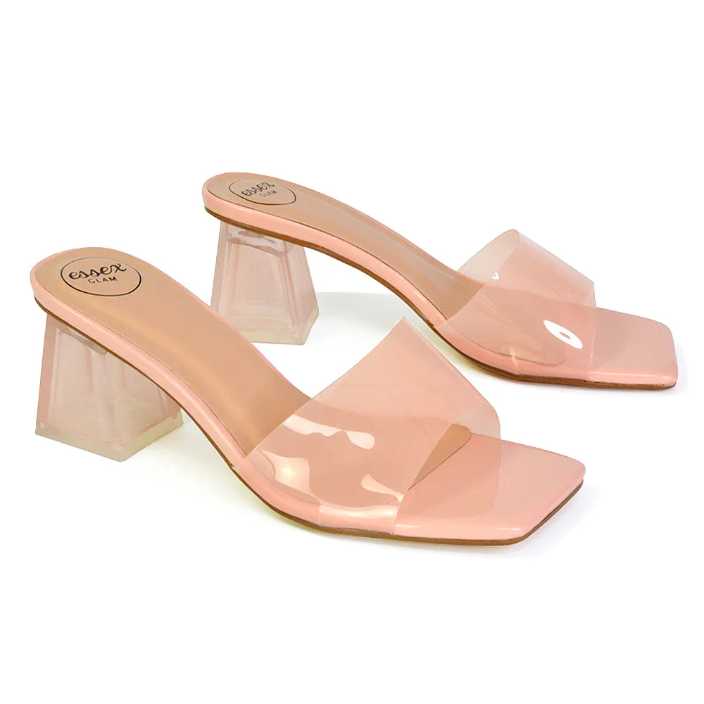 Strawberry Perspex Strappy Square Toe Clear Block Heel Mules in Silver